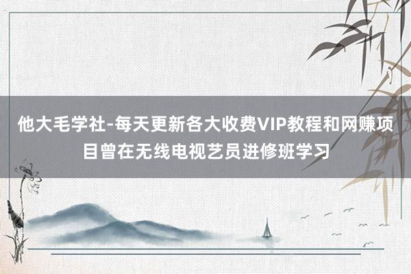 他大毛学社-每天更新各大收费VIP教程和网赚项目曾在无线电视艺员进修班学习