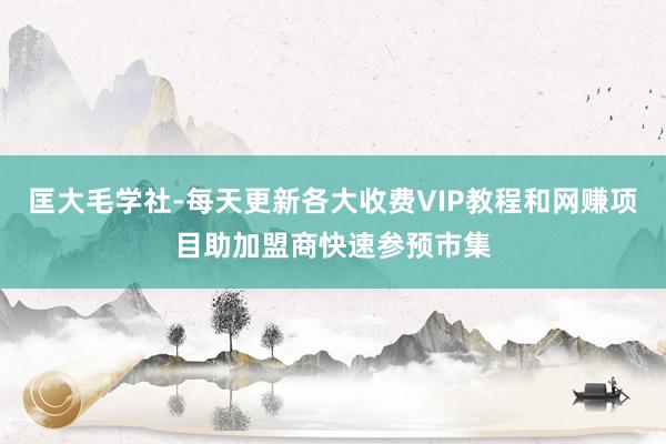 匡大毛学社-每天更新各大收费VIP教程和网赚项目助加盟商快速参预市集