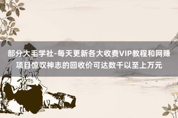 部分大毛学社-每天更新各大收费VIP教程和网赚项目惊叹神志的回收价可达数千以至上万元